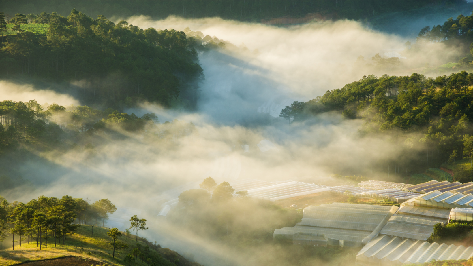 Saigon Da Lat