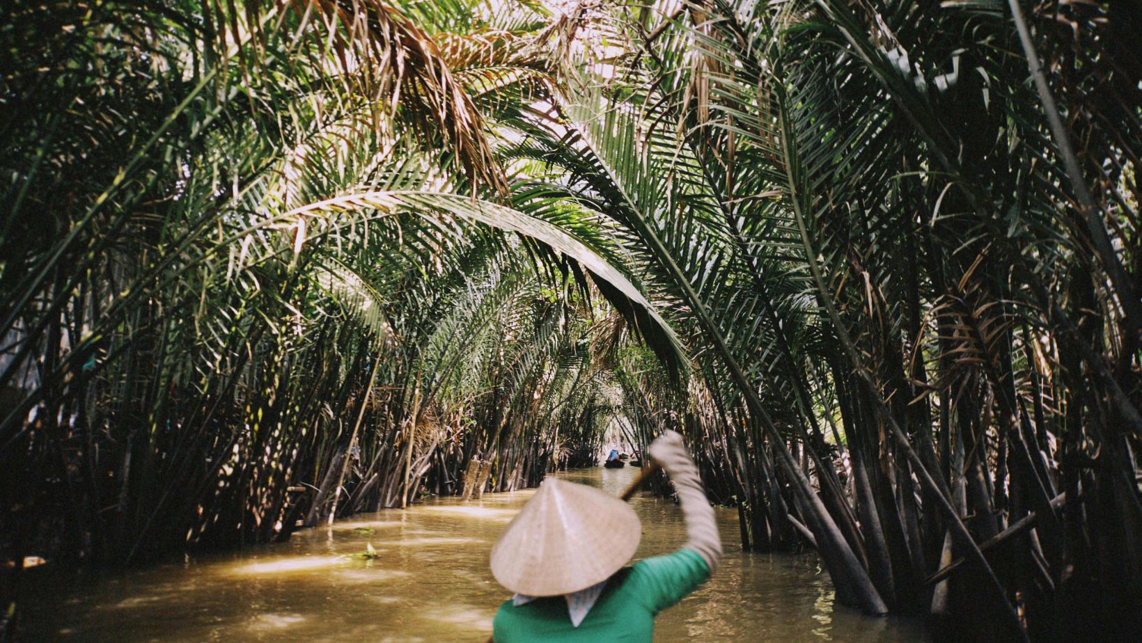 Vietnam river forest