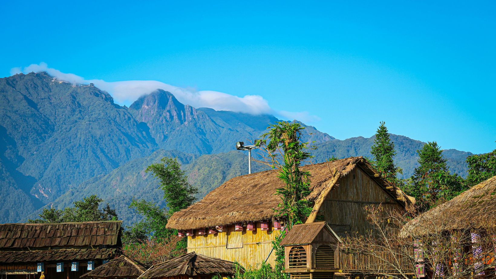 Vietnam misty peaks